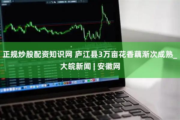 正规炒股配资知识网 庐江县3万亩花香藕渐次成熟_大皖新闻 | 安徽网