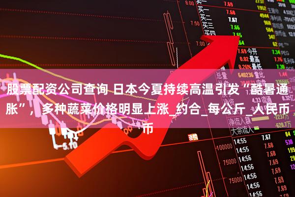 股票配资公司查询 日本今夏持续高温引发“酷暑通胀”，多种蔬菜价格明显上涨_约合_每公斤_人民币