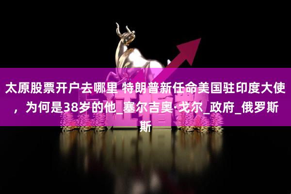 太原股票开户去哪里 特朗普新任命美国驻印度大使，为何是38岁的他_塞尔吉奥·戈尔_政府_俄罗斯